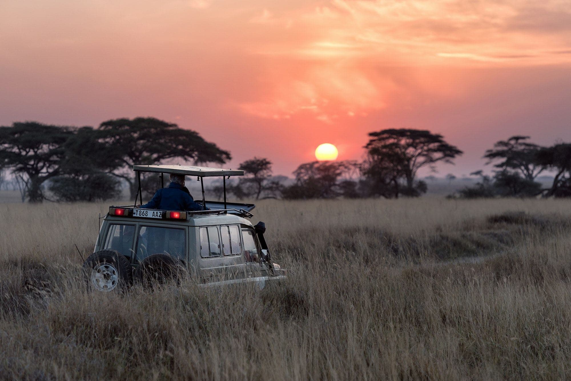 Where the Wild Begins — Tanzania