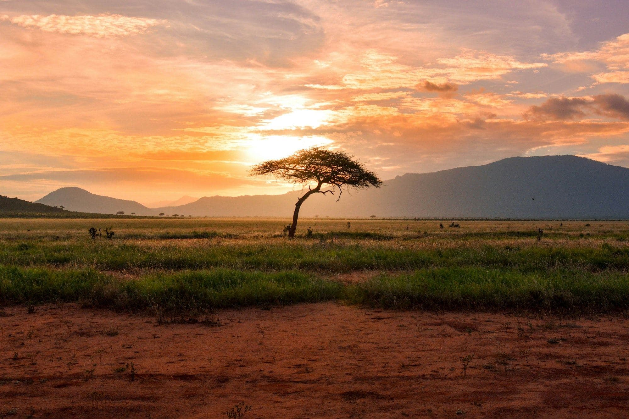 Serengeti, Tanzania